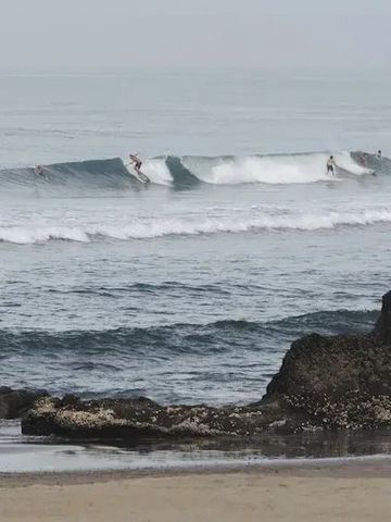 Surfer genießen Wellen am Strand von Canggu.
