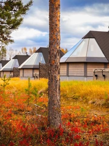Glasiglus zwischen Kiefern, davor rot und gelb gefärbte Herbstvegetation in Lappland