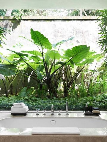 Luxuriöses Badezimmer mit Blick auf tropischen Garten durch große Glaswand