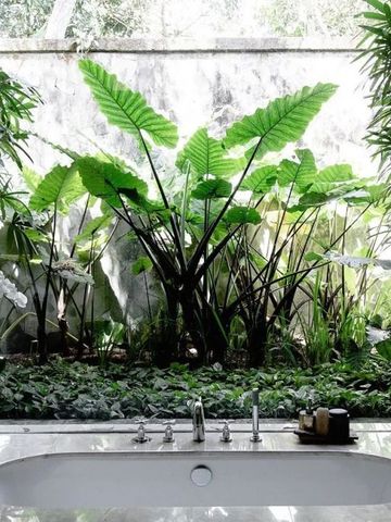 Elegantes Badezimmer mit großer Glaswand und üppigem Gartenblick