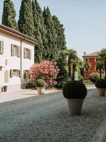 Gepflegter Innenhof mit klassischen Gebäuden und grünen Pflanzen