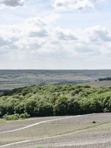 Weitläufige Landschaftsansicht über grüne Weinberge in der Champagne