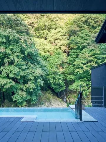 Infinity-Pool mit Blick auf dichten grünen Wald