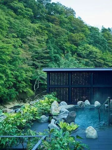 Natur-Onsen mit üppigem Grün im Hintergrund