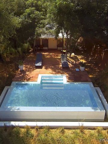 Infinity-Pool inmitten eines dichten Waldgebietes