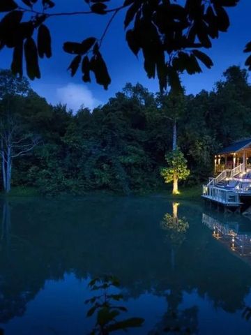 Freiluftkino mit Leinwand am Teich umgeben von üppiger Natur bei Nacht