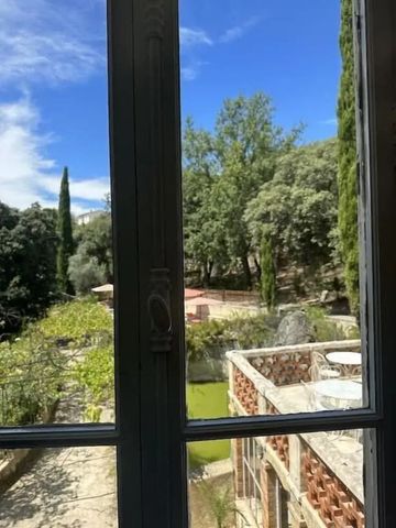 Ausblick auf den grünen Garten durch ein Fenster