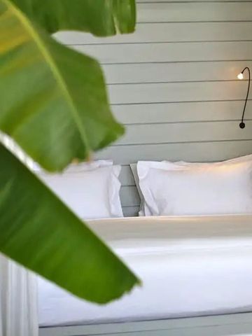 Schlafzimmer mit weißen Bettwäsche und großen Bananenblättern im Vordergrund.