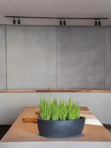 Elegantes modernes Interieur in neutralen Tönen mit Pflanzen