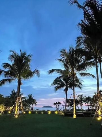 Gepflegter Garten mit Palmen und Meer im Hintergrund bei Dämmerung