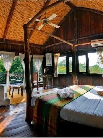 Baumhauszimmer mit Holzdach und Panoramablick auf den Wald