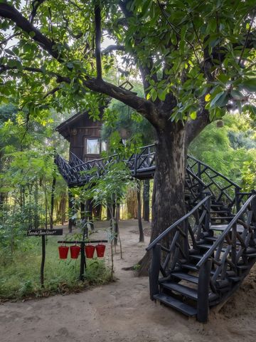 Treppenaufgang zu einem Baumhaus im dichten Wald