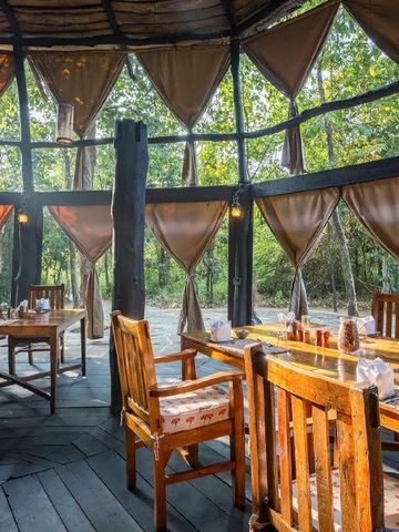 Luftiges Restaurant mit Holzstühlen und umschlungen von Bäumen