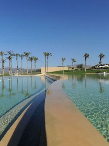 Infinity Pool mit Palmen und klarem Himmel im Verdura Resort