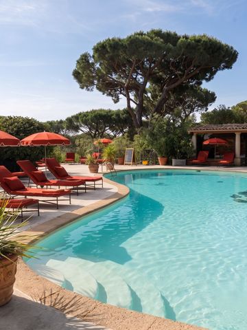 Luxuriöser Poolbereich mit roten Liegestühlen und Sonnenschirmen