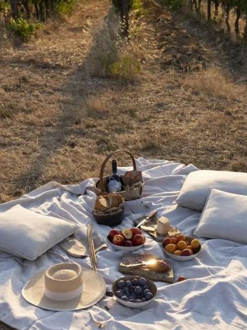 Luxuriöses Picknick-Setup mit Obst und Wein auf einer Decke