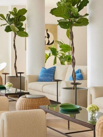Elegante Lounge mit modernen Möbeln und grünen Pflanzen