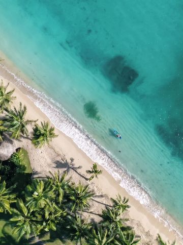 Tropischer Strand mit Palmen und klarem türkisfarbenem Wasser aus der Vogelperspektive.