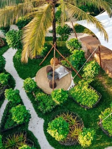 Tropischer Garten mit Palmen und gepflastertem Pfad im Resort