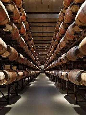 Reihen von Holzfässern in einem modernen Weinkeller