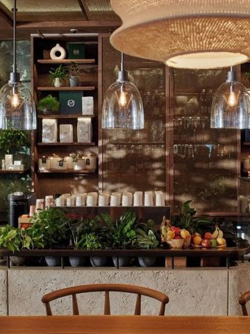 Gemütliche Bar mit stilvoller Inneneinrichtung und Pflanzen