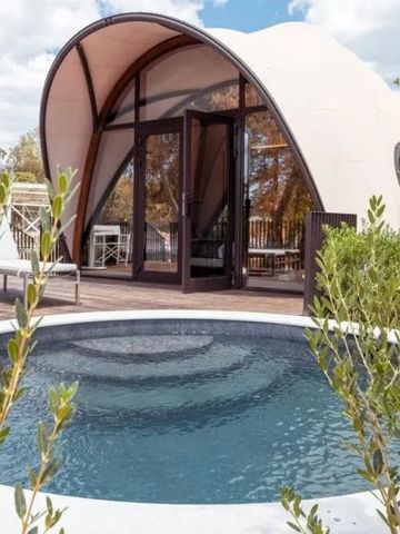 Moderne Villa mit eigenem Pool im Freien umgeben von Pflanzen