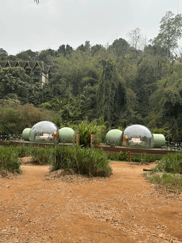 Exklusive Unterkunft mitten im Dschungel.