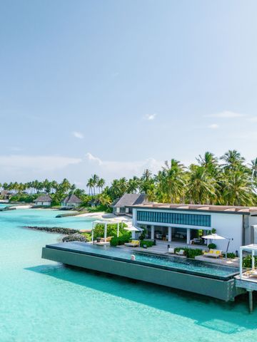 Luxusvilla am Meer mit Infinity-Pool umgeben von Palmen und blauem Himmel.