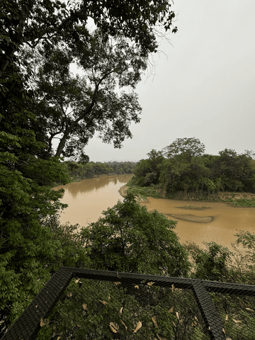Ankommen mit Stil: Privater Bootstransfer durch eine der faszinierendsten Landschaften Südostasiens.