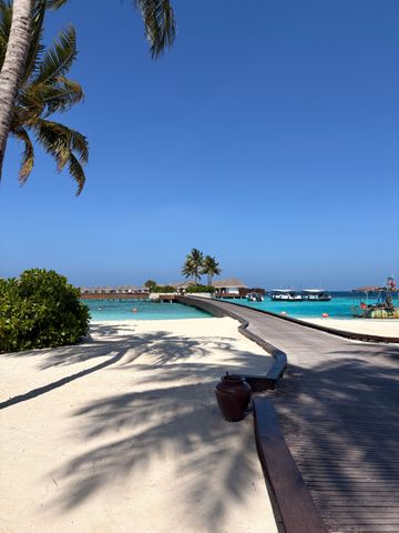 Vom Steg geht es zu den Wasservillen.