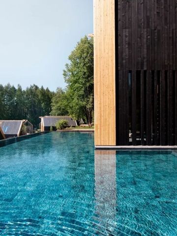 Infinity Pool mit Holz- und Naturkulisse