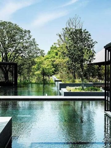 Infinity-Pool mit Blick auf grüne Gärten und Bäume im Hotel Amanemu