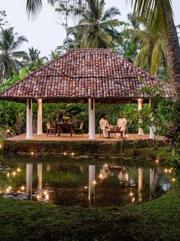 Pavillon im Garten mit Teich und tropischer Vegetation