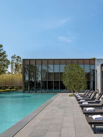 Moderner Poolbereich mit Liegestühlen und Bäumen im Hintergrund