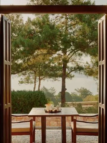 Terrasse mit Sitzbereich und Blick auf üppige Bäume