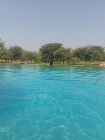 Einladender Pool mit Blick auf grüne Bäume im Anantara Resort