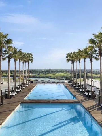 Außenpool mit Palmen gesäumt und weitem Ausblick unter blauem Himmel