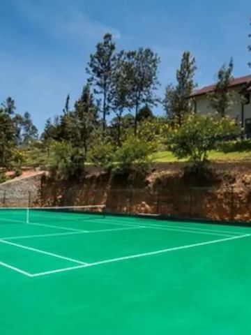 Tennisplatz im Freien mit grüner Fläche und umgebender Natur