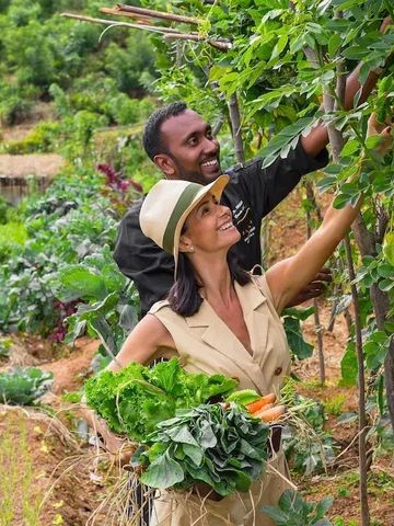 Personen pflücken Gemüse in einem üppigen Garten