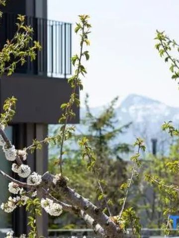 Frühling im Hotelgarten mit blühendem Baum und Bergblick