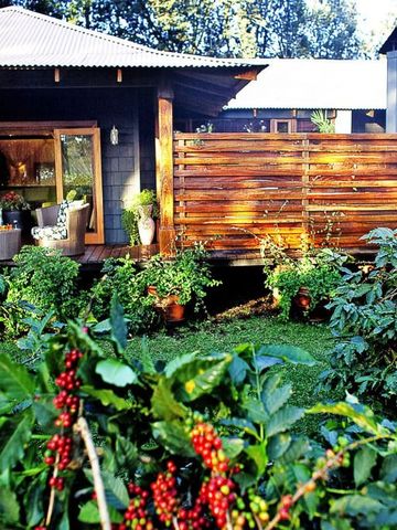 Veranda eines Zimmers mit Garten und Kaffeepflanzen im Vordergrund