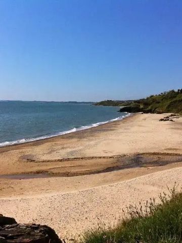 Sonniger Sandstrand mit ruhigem Meer und grüner Umgebung