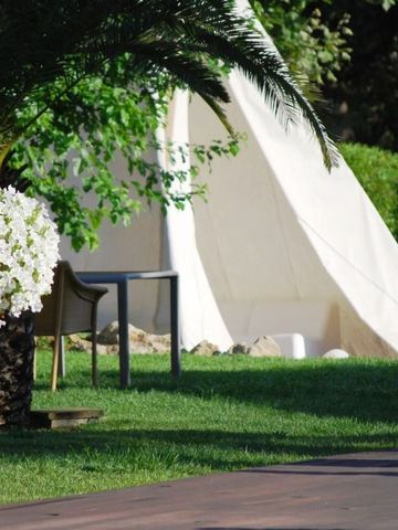 Gartenbereich des Hotels mit weißen Blumen und Palme