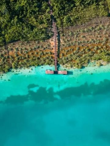Luftaufnahme eines Stegs über türkisfarbenem Wasser mit grüner Vegetation in Boca de Agua