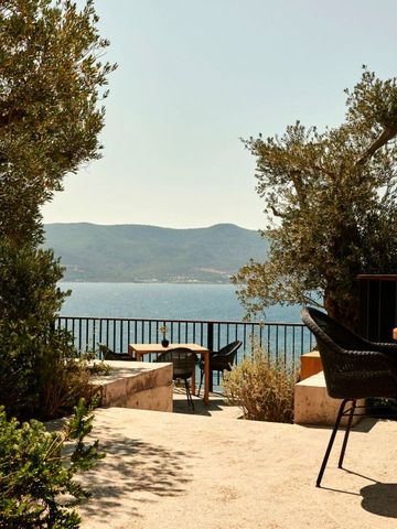 Terrasse mit Meerblick und Sitzgelegenheiten umgeben von Bäumen
