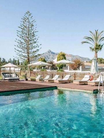 Weitläufiger Pool mit Liegestühlen und Palmen im Hintergrund