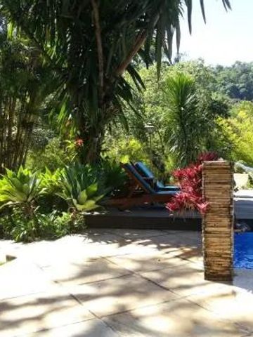 Garten mit Pool und Liegestühlen umgeben von tropischen Pflanzen