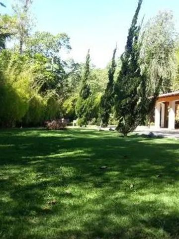 Weitläufige grüne Gärten mit hohen Zypressen und einer Villa im Hintergrund