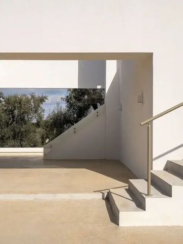 Moderne Architektur mit weißen Wänden und Treppe, umgeben von Bäumen