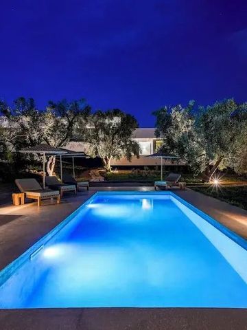 Beleuchteter Pool bei Nacht mit Olivenbäumen im Hintergrund